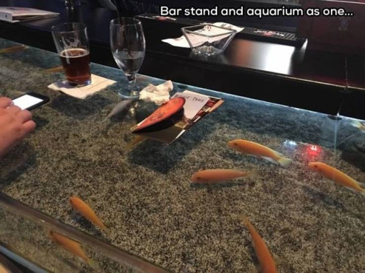 Bar - Bar stand and aquarium as one...