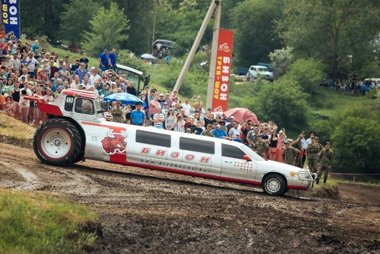 world rally championship