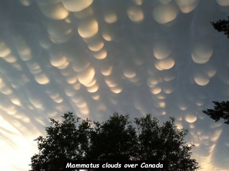 rare clouds - Mammatus clouds over Canada