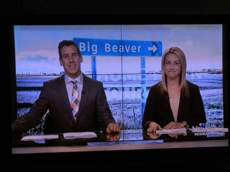 big beaver newscast - Big Beaver Tegin