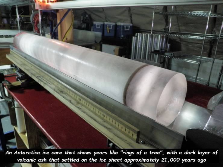 cool ice cores - An Antarctica ice core that shows years "rings of a tree", with a dark layer of volcanic ash that settled on the ice sheet approximately 21,000 years ago