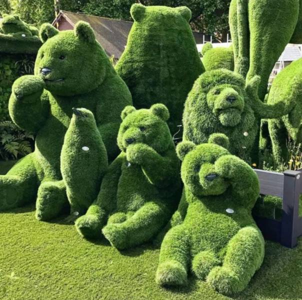 topiary bears