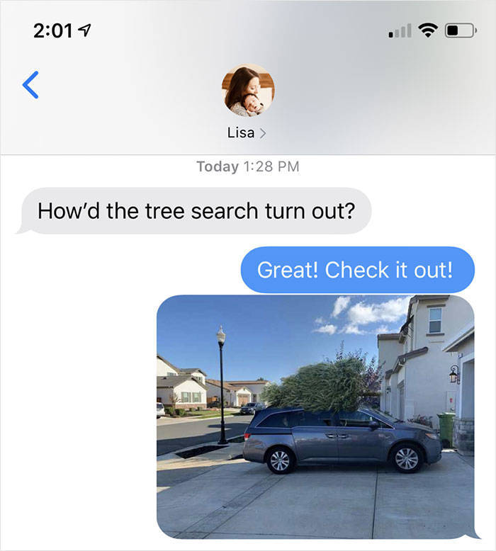 vehicle - Lisa Today How'd the tree search turn out? Great! Check it out!