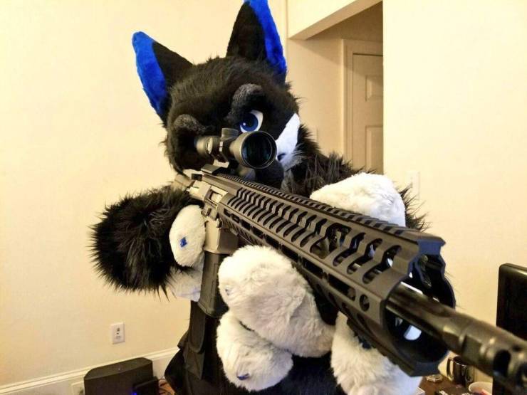 furry with weapons