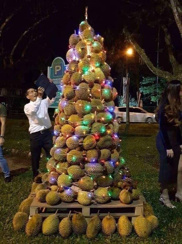 durian christmas tree