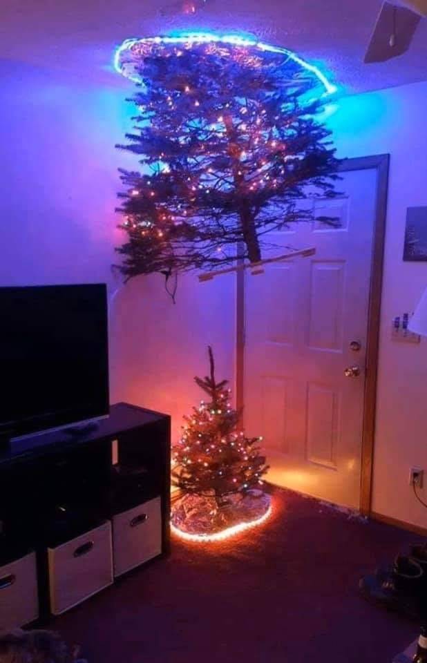 portal christmas tree