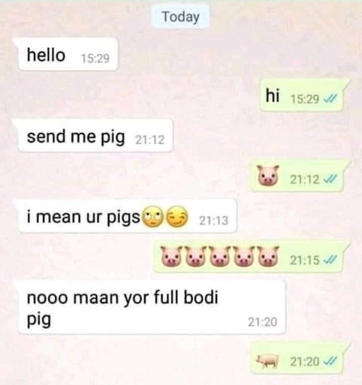 funny words - Today hello hi send me pig i mean ur pigs Wuuuu 21 nooo maan yor full bodi pig