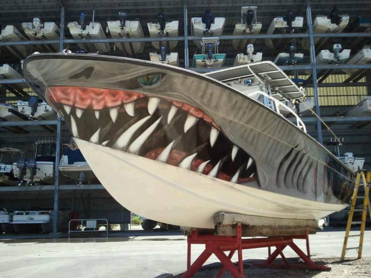 shark wrap boat