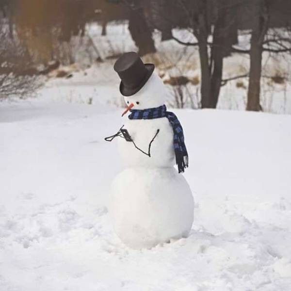 coolest snowman