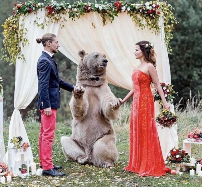 typical wedding - A