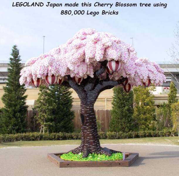 lego cherry blossom tree - Legoland Japan made this Cherry Blossom tree using 880,000 Lego Bricks