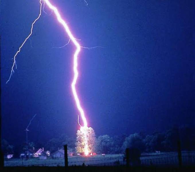 lightning hits tree