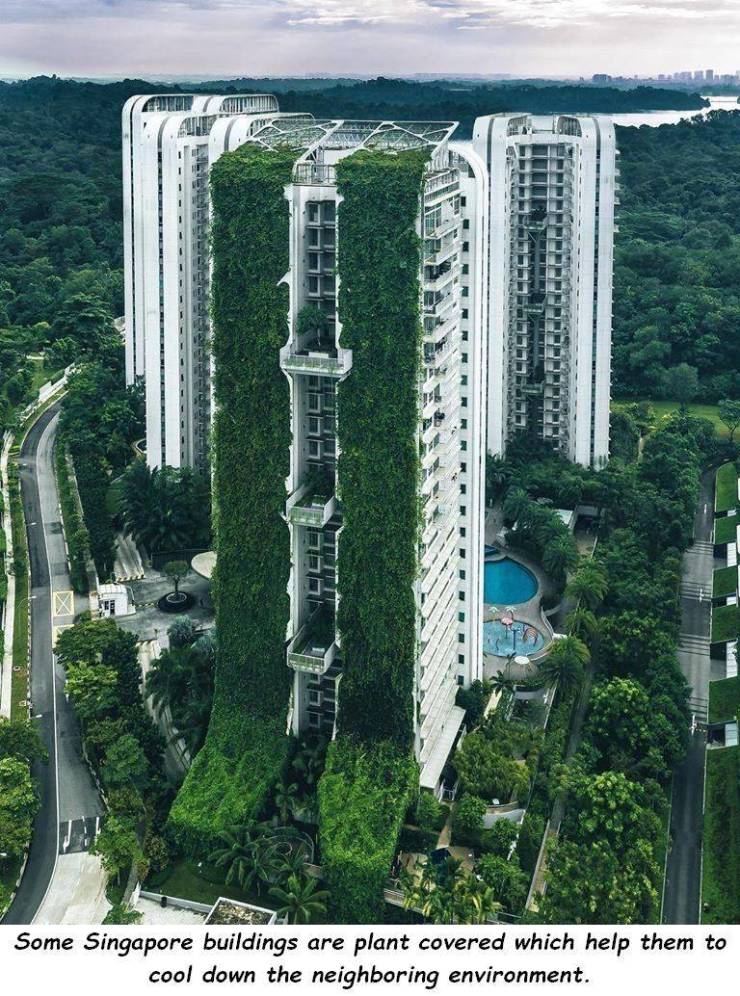 Le Some Singapore buildings are plant covered which help them to cool down the neighboring environment.
