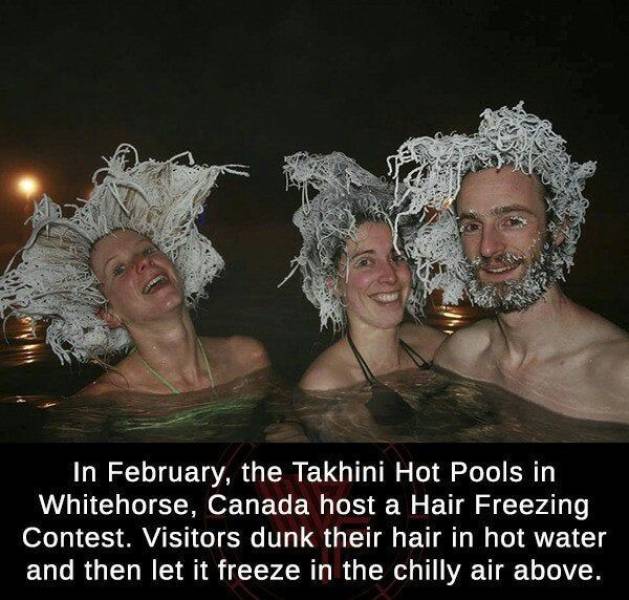 canadian hair freezing contest - In February, the Takhini Hot Pools in Whitehorse, Canada host a Hair Freezing Contest. Visitors dunk their hair in hot water and then let it freeze in the chilly air above.