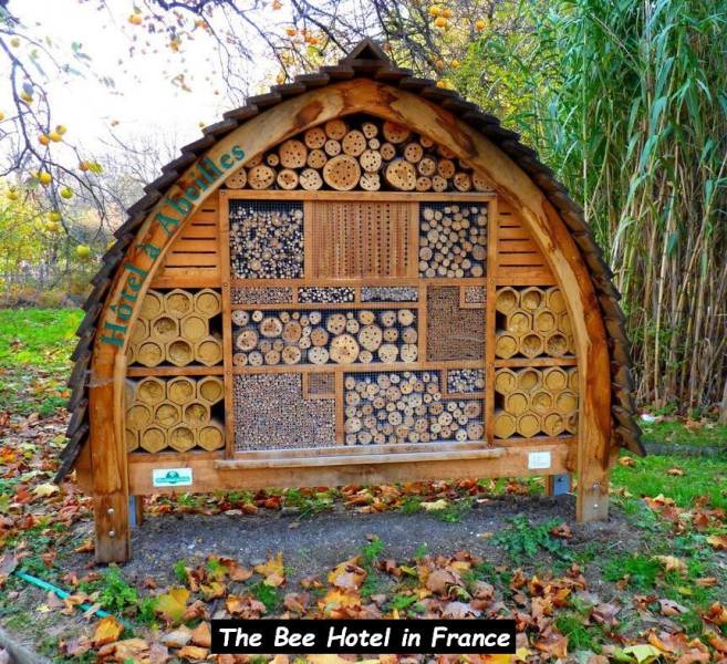 bee hotel - A DOKTes The Bee Hotel in France