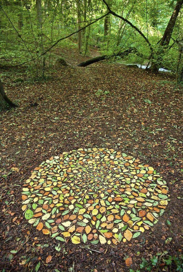 mosaic of autumn leaves -