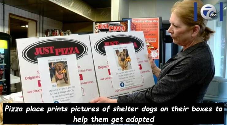 Pizza - Tuesday Wing Day Just Pviza Original Piom Originate "Wechat Tomater We Create Pizza place prints pictures of shelter dogs on their boxes to help them get adopted