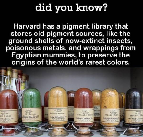 worlds rarest colors - did you know? Harvard has a pigment library that stores old pigment sources, the ground shells of nowextinct insects, poisonous metals, and wrappings from Egyptian mummies, to preserve the origins of the world's rarest colors. anch 