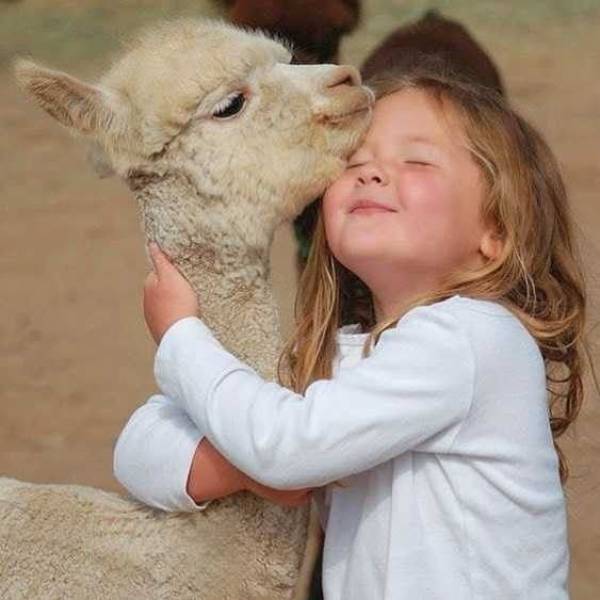 kids hug animals