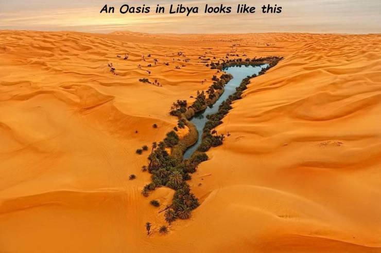 oasis in libya - An Oasis in Libya looks this