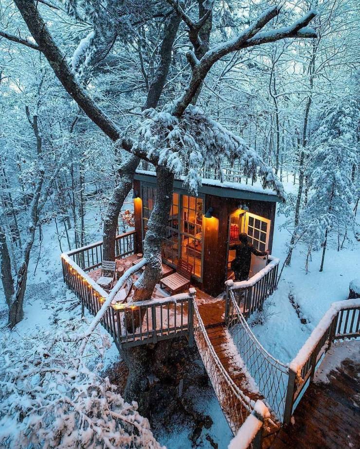 tree house ideas - Mu 2