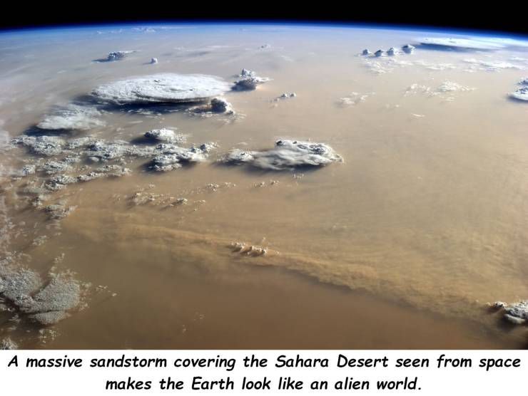 sahara sandstorm from space - A massive sandstorm covering the Sahara Desert seen from space makes the Earth look an alien world.