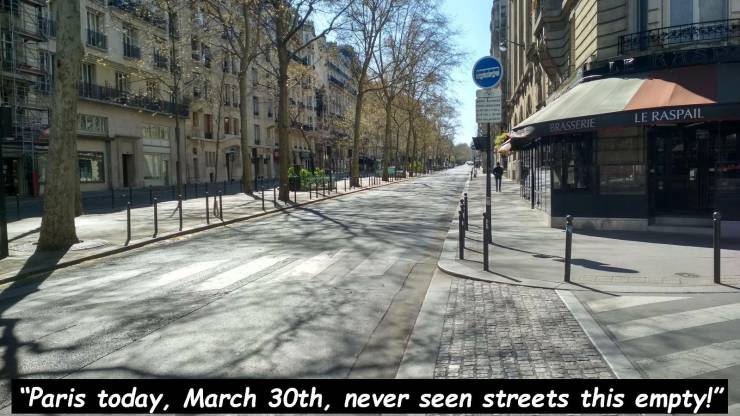 lane - Le Raspail Sserie "Paris today, March 30th, never seen streets this empty!"