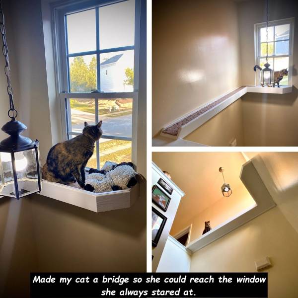 interior design - Made my cat a bridge so she could reach the window she always stared at.