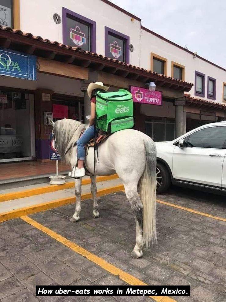 pack animal - Sas "Lupita Lll eats How ubereats works in Metepec, Mexico.