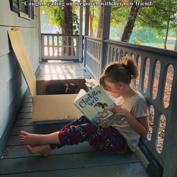 sitting - "Caught reading on the porch with her new friend. Charlotte's Abwe O