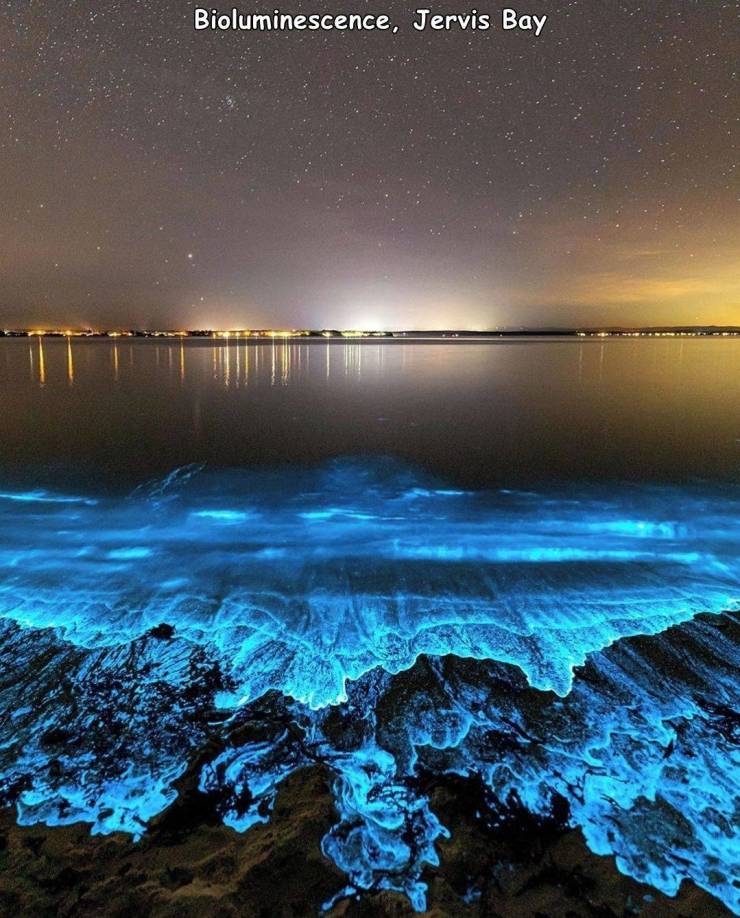 nature - Bioluminescence, Jervis Bay