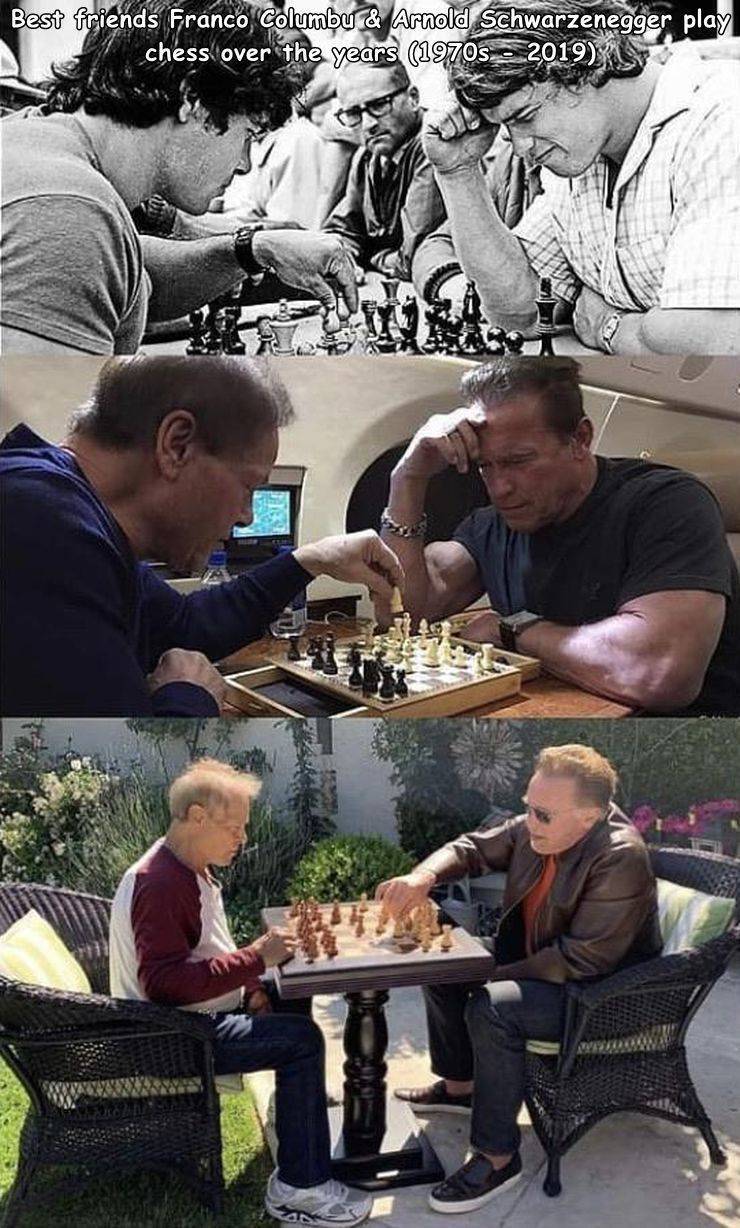franco columbu arnold cess - Best friends Franco Columbu & Arnold Schwarzenegger play chess over the years 1970s 2019