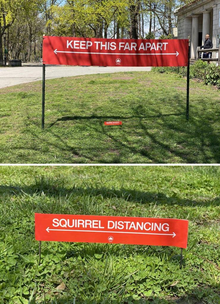 grass - Keep This Far Apart Squirrel Distancing