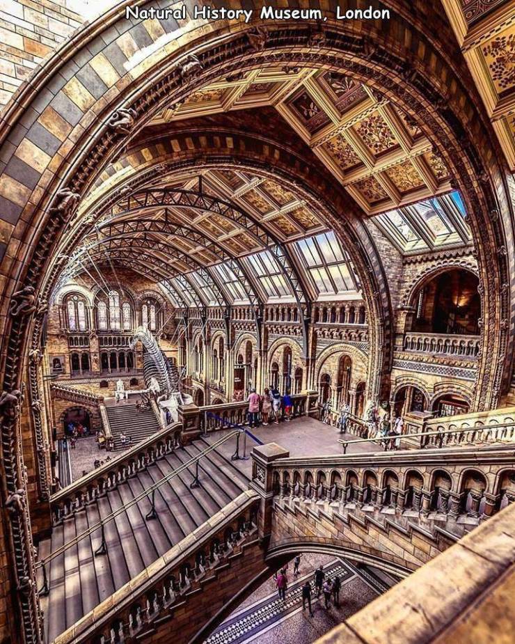 natural history museum - Natural History Museum, London Ha Sanaya 24 1000 Basso Shushousses 4444444 Havlulite