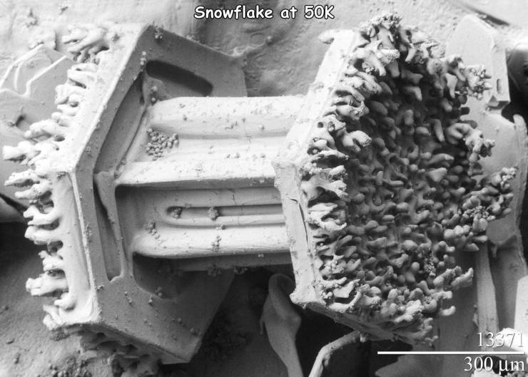 snowflake under electron microscope - Snowflake at 50K 13371 300 um