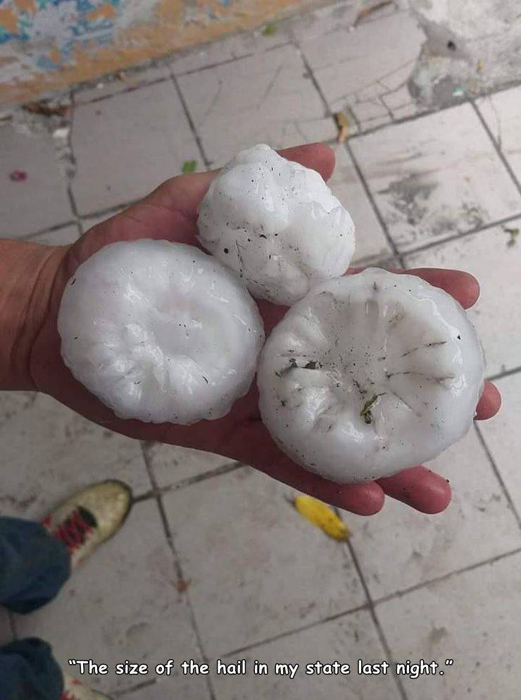 produce - "The size of the hail in my state last night."