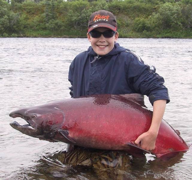 trophy king salmon