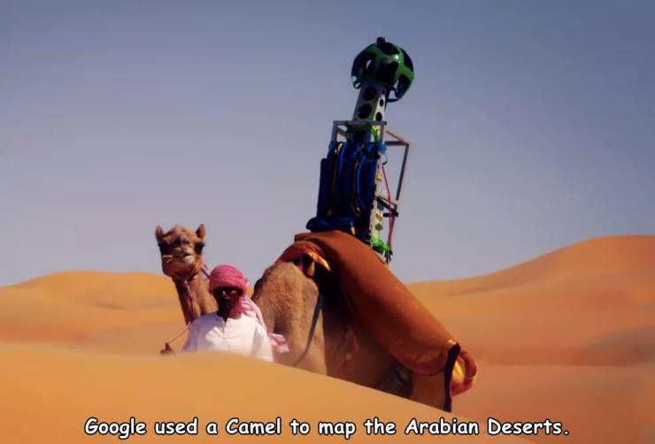 Google used a Camel to map the Arabian Deserts.