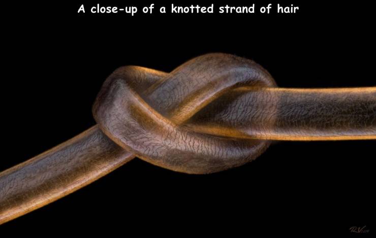 A closeup of a knotted strand of hair