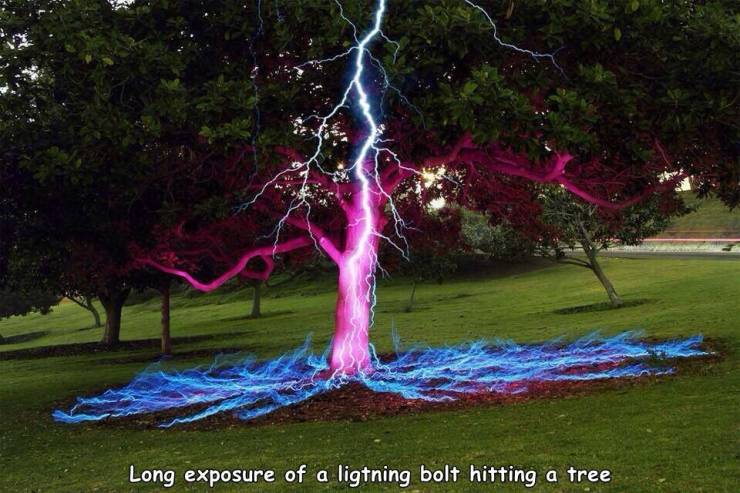 slow shutter speed lightning - Long exposure of a ligtning bolt hitting a tree
