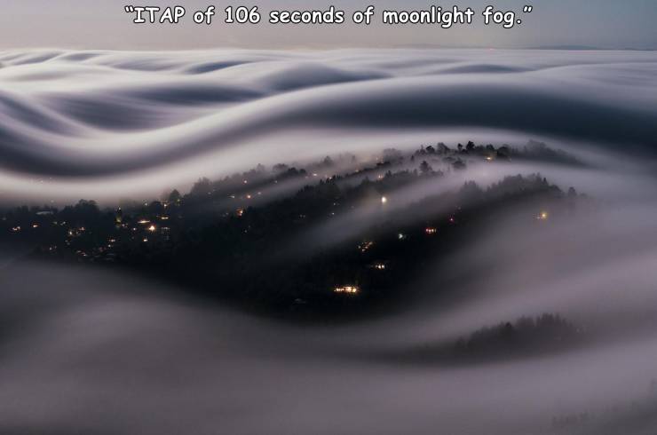long exposure fog - "Itap of 106 seconds of moonlight fog."