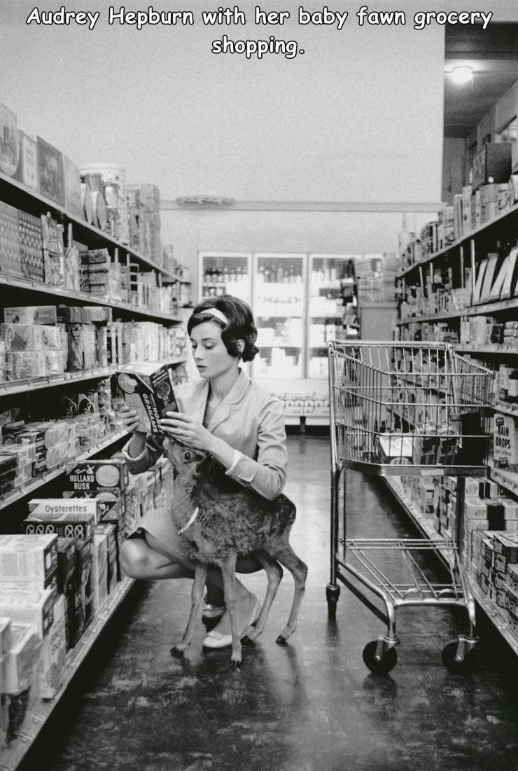 audrey hepburn and her pet fawn - Audrey Hepburn with her baby fawn grocery shopping. Dros Holland Rusk Oysterettes Arrior