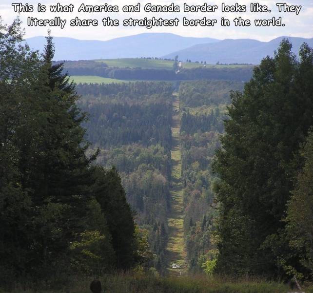 wilderness - This is what America and Canada border looks . They literally the straightest border in the world.