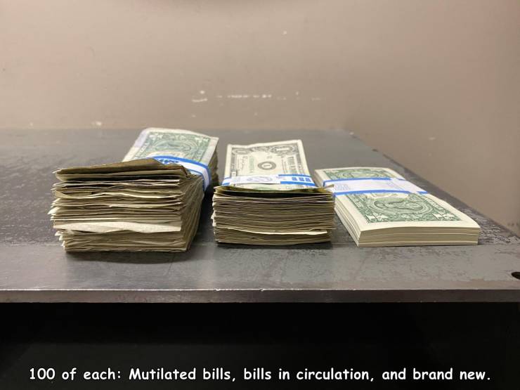 cash - The 100 of each Mutilated bills, bills in circulation, and brand new.