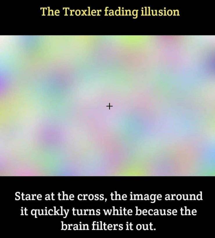 atmosphere - The Troxler fading illusion Stare at the cross, the image around it quickly turns white because the brain filters it out.
