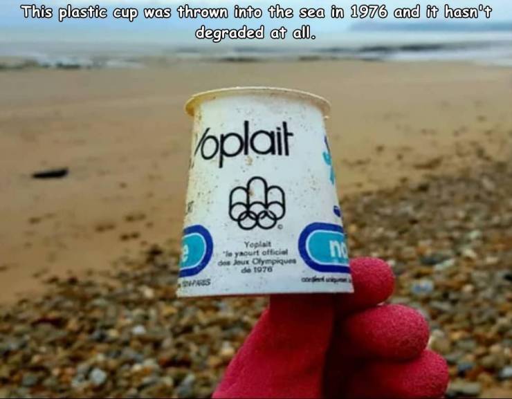 yoplait 1976 - This plastic cup was thrown into the sea in 1976 and it hasn't degraded at all. oplait Yoplast "le yaourt officia doux Olympiques de 1978