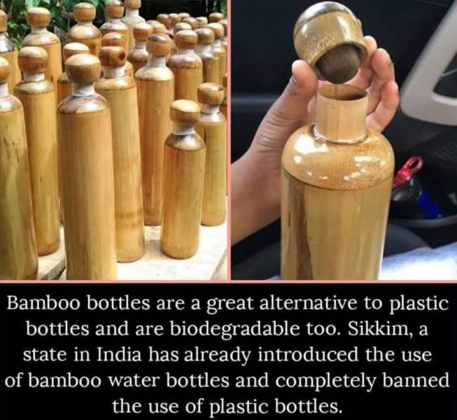 bamboo bottle sikkim - Bamboo bottles are a great alternative to plastic bottles and are biodegradable too. Sikkim, a state in India has already introduced the use of bamboo water bottles and completely banned the use of plastic bottles.
