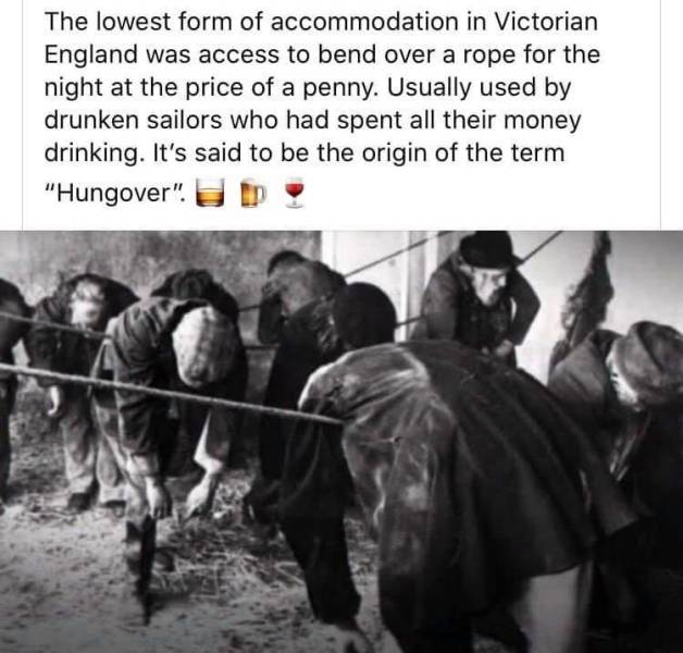 two penny hangover - The lowest form of accommodation in Victorian England was access to bend over a rope for the night at the price of a penny. Usually used by drunken sailors who had spent all their money drinking. It's said to be the origin of the term