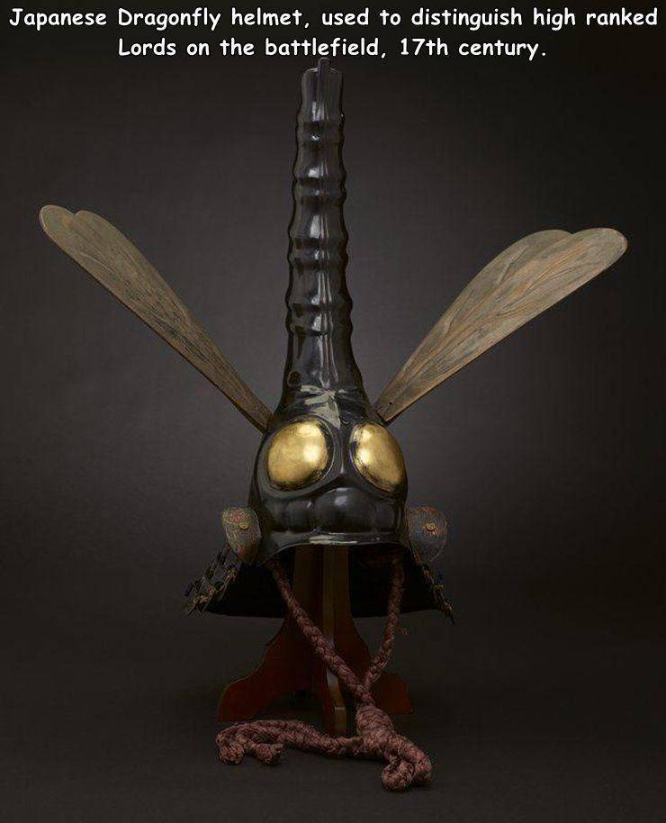 dragonfly samurai helmet - Japanese Dragonfly helmet, used to distinguish high ranked Lords on the battlefield, 17th century.