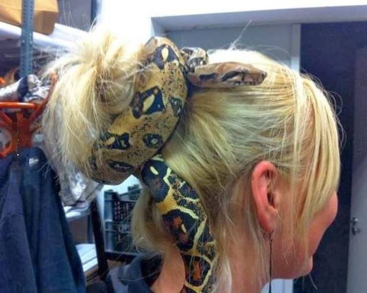 snake Hair tie